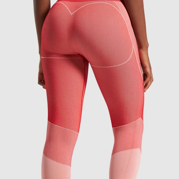 Gymshark Pants - GYMSHARK TURBO SEAMLESS